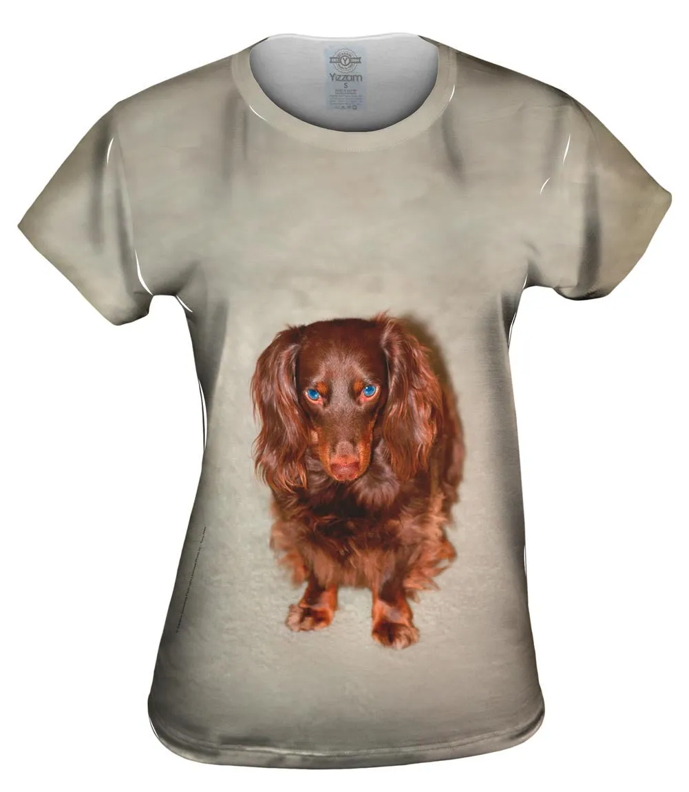 Bad Mood Chocolate Dachshund