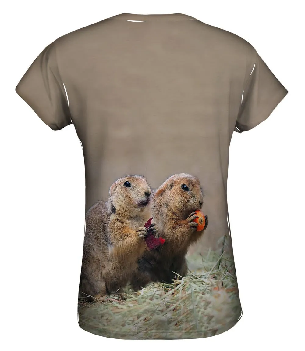 Fall Prairie Dogs