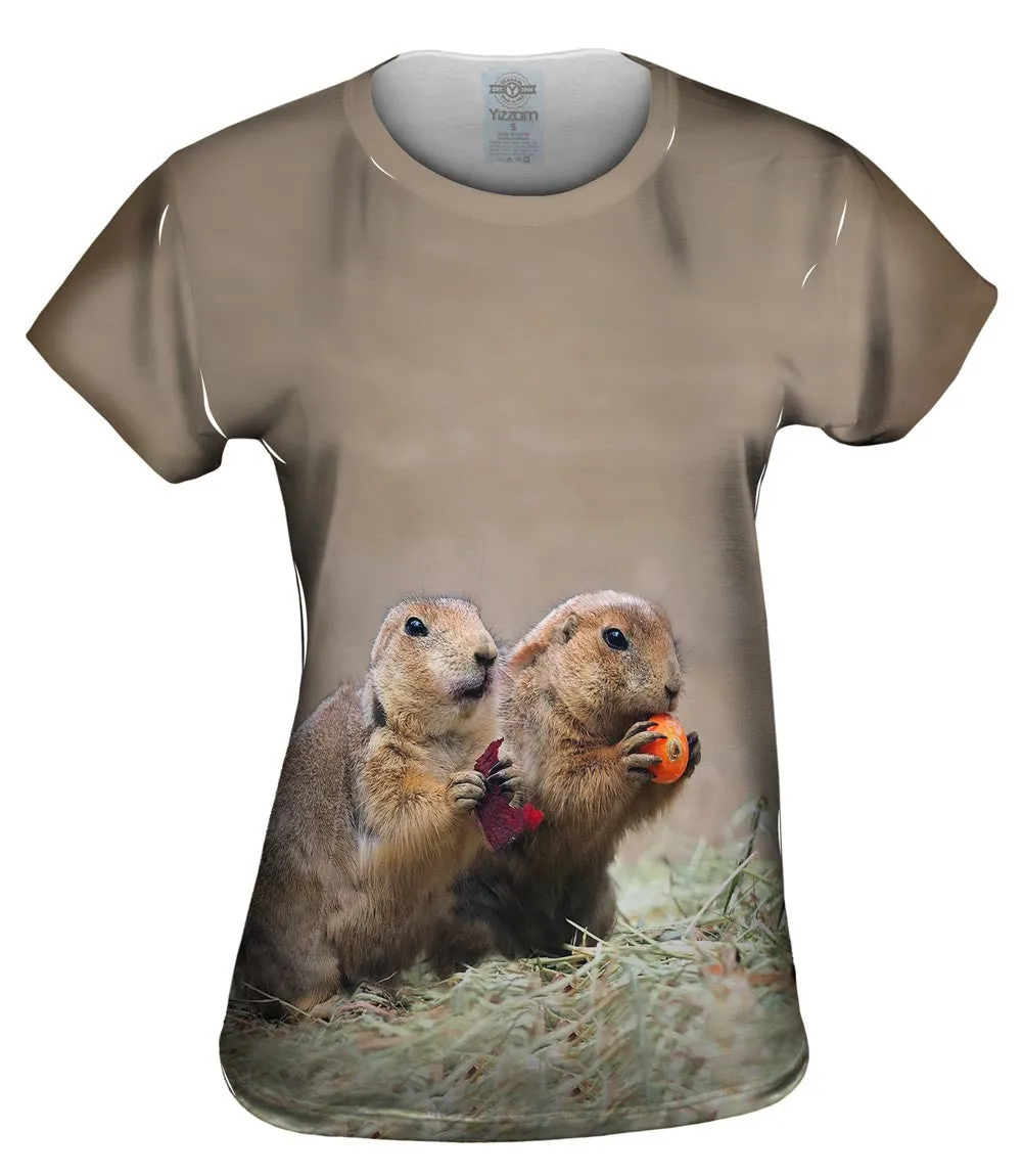 Fall Prairie Dogs