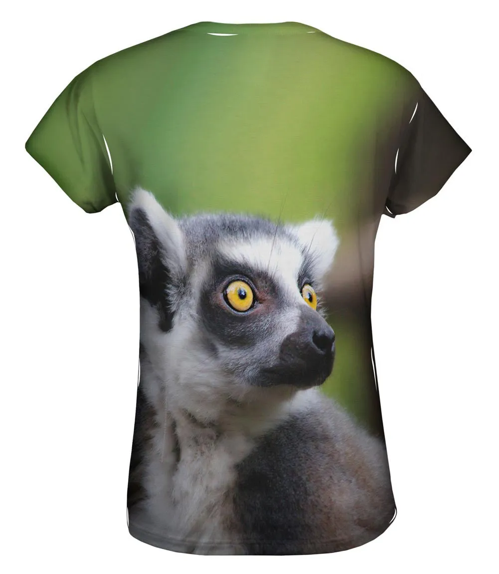 Full Attentention Grey Lemur