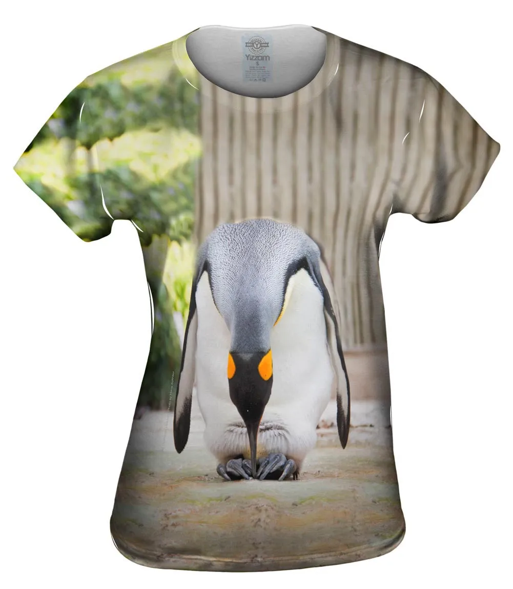 King Penguin