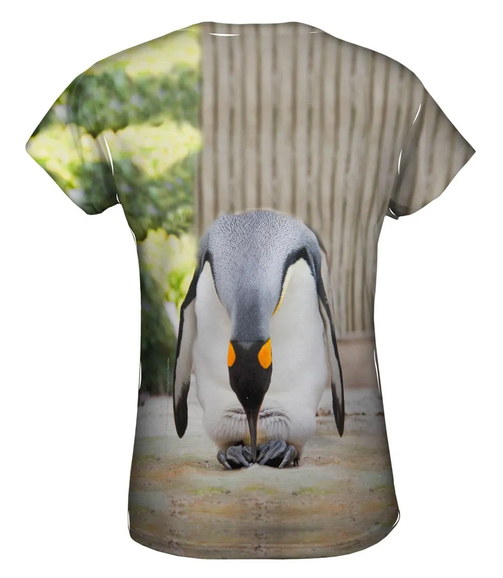 King Penguin