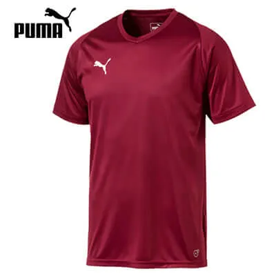 Puma Liga Sideline Tee Shirt